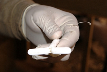 خدمات دامپروری